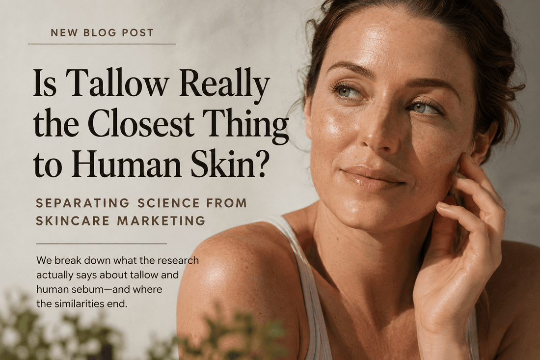 Is Tallow Really the Closest Thing to Human Skin? - Naturally Lathered Tallow Co.