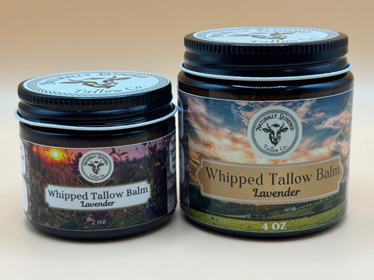 Two jars of Whipped Tallow Balm Lavender on a beige background