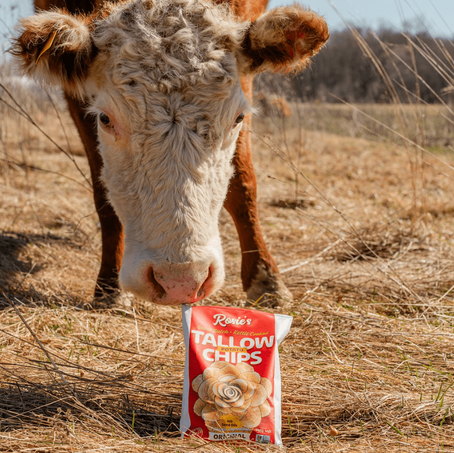Rosie's Chips [2 - Pack] - Naturally Lathered Tallow Co.