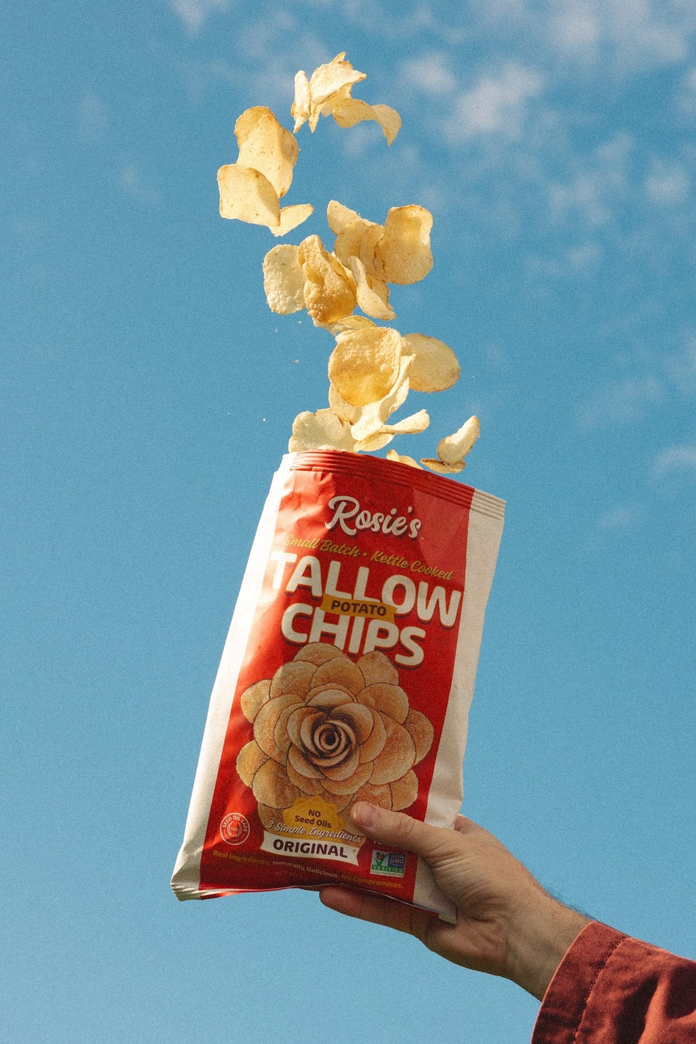 Rosie's Chips [2 - Pack] - Naturally Lathered Tallow Co.