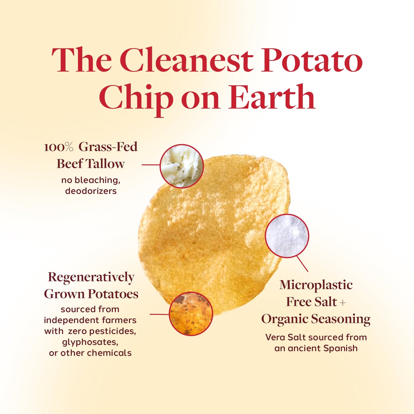 Rosie's Chips [2 - Pack] - Naturally Lathered Tallow Co.